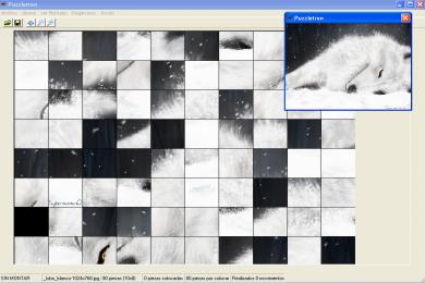 Screenshot Puzzletrón