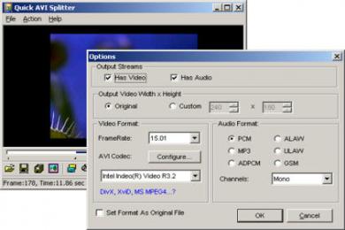 Captura Quick AVI Splitter