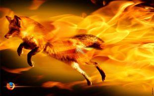 Screenshot Fire Fox
