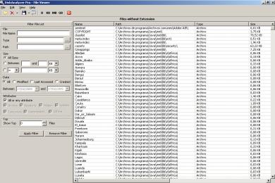 Captura DiskAnalyzer Professional