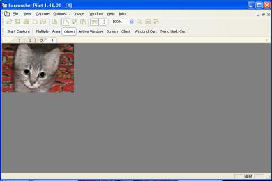 Capture Screenshot Pilot