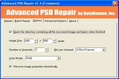 Screenshot Advanced PSD Repair