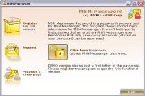 MSN Messenger Password
