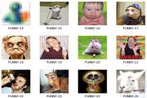 Funny MSN Display Pictures Pack