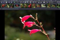 ExifPro Image Viewer