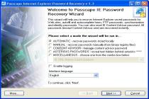 Passcape IE Password Recovery