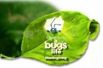 A Bugs Life Theme