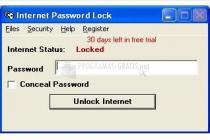 Internet Password Lock