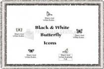 Black And White Butterfly