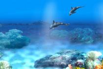 Free Living 3D Dolphins Animated Fondo