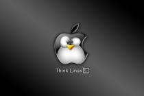 Pensa Linux