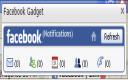 Cattura Facebook Gadget