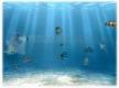 Cattura Sim Aquarium Free Tankk