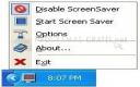 Captura Stop Screen Saver