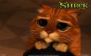 Captura Shrek 2: Gato de Botas